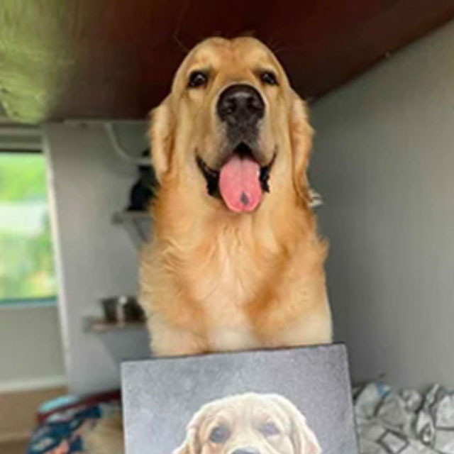 best gift for dog owners