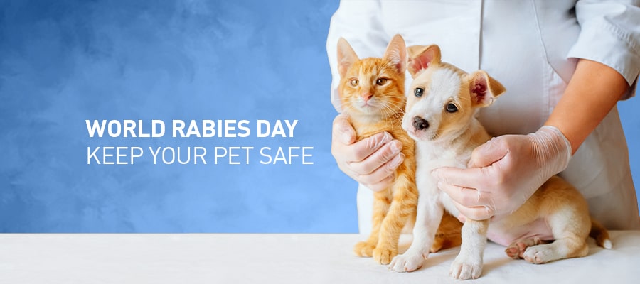 World Rabies Day: Keep Your Pet Safe