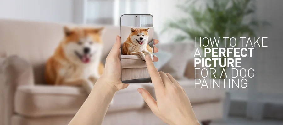 How to take a perfect picture for a dog painting?