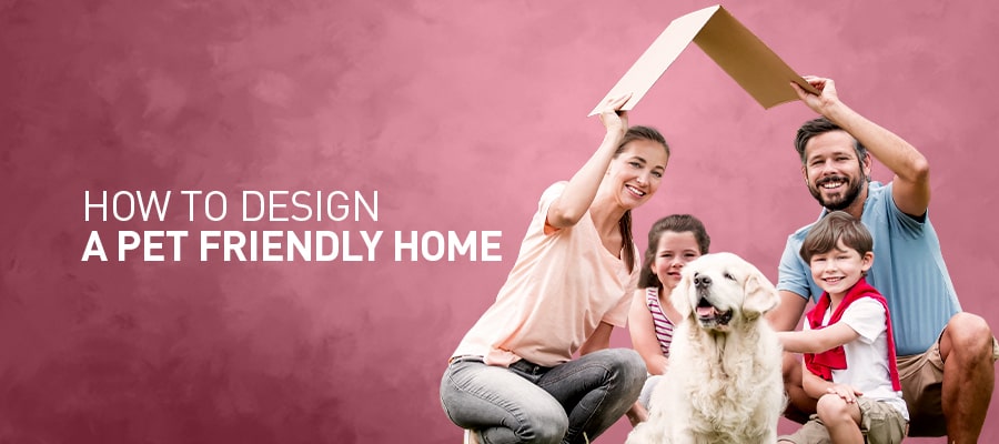 How To Create A Pet-Friendly Home