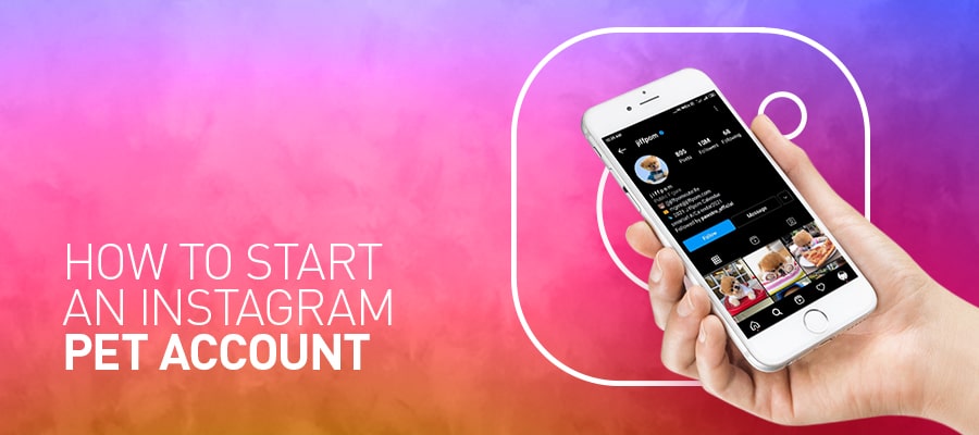 How to start an Instagram pet account?