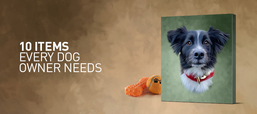 10 Items Every Dog Owner Needs