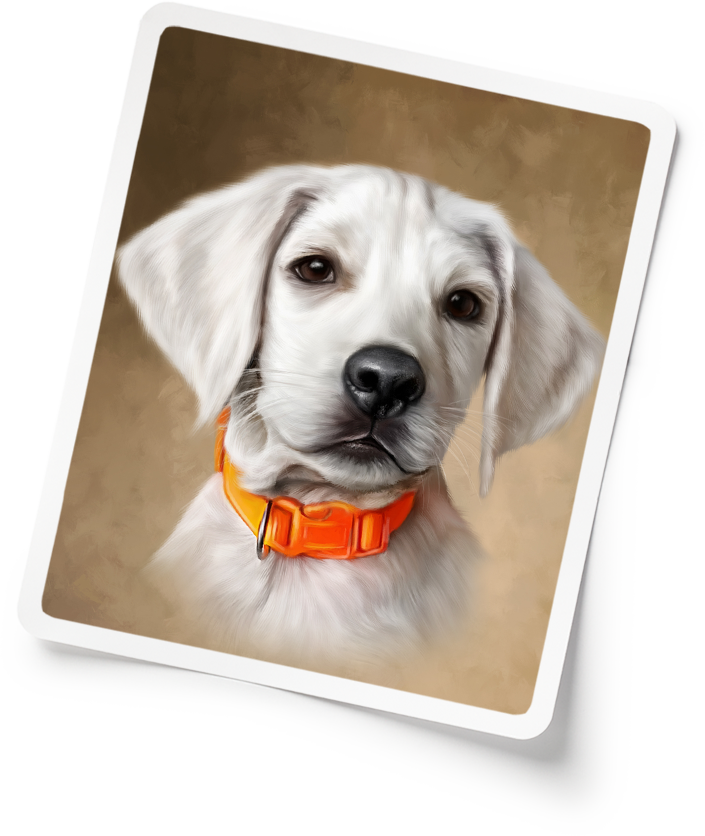 Together, We Can Paint Success!