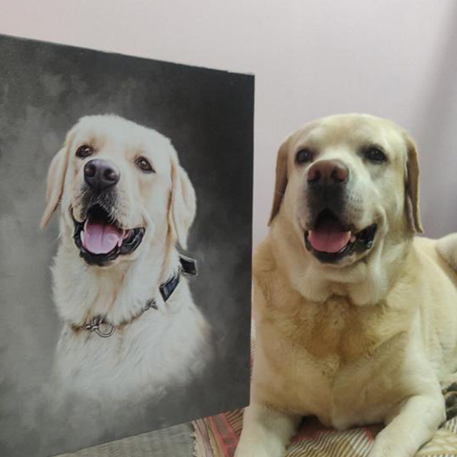 best gift for dog owners